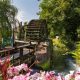 Rivière avec roue de moulin et fleurs